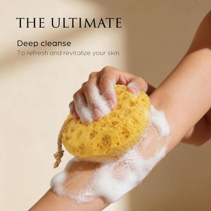 Spongentle Loofah Sponge for Shower and Bathing, Bath Sponge with Dual Texture, Shower Pouf for Gentle and Deep Exfoliation, Large Size Body Scrubber for Men & Women, PU Foam, 37% More Lather, 2 Pack