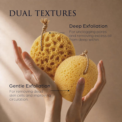 Spongentle Loofah Sponge for Shower and Bathing, Bath Sponge with Dual Texture, Shower Pouf for Gentle and Deep Exfoliation, Large Size Body Scrubber for Men & Women, PU Foam, 37% More Lather, 2 Pack